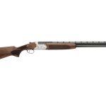 first p 800x600 1