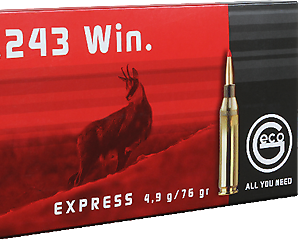 csm buechse express 243win 4 9g verpackung fff59ad10c
