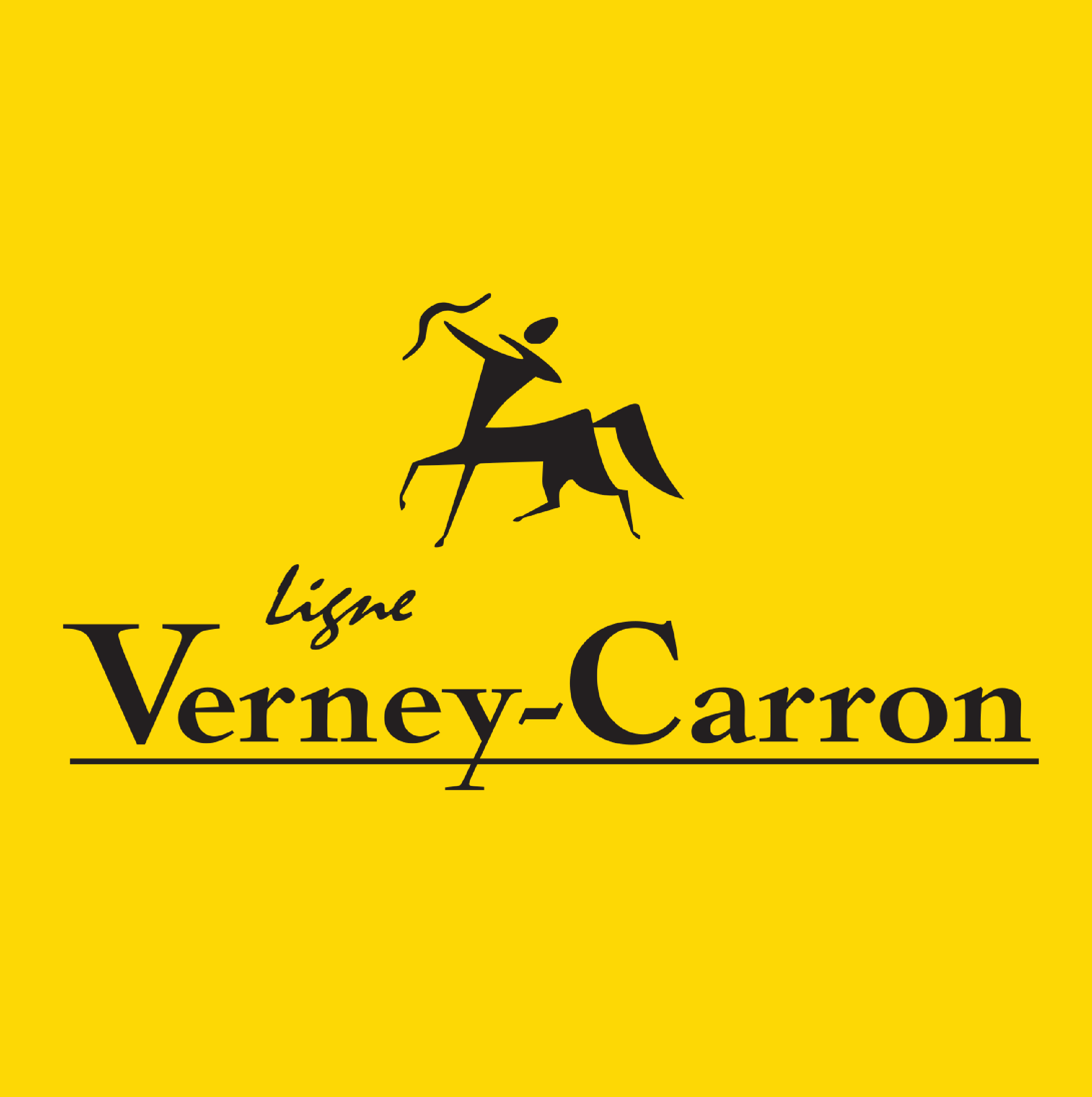 verney-carron