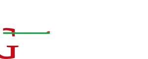 Logo ALG Munizioni OK 1
