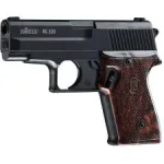 RG300 persp 200x200@2x