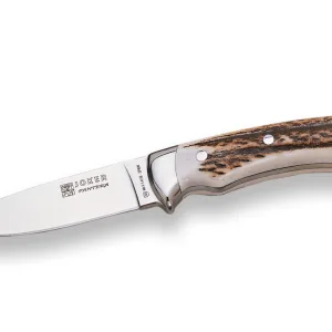 joker 12 cm full tang stainless steel blade stag deer antler scales outdoor knife